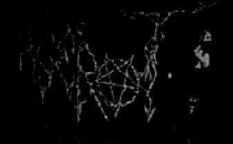 Acerot - Black Metal - Cali, Valle del Cauca - metal colombiano