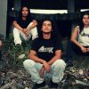 Attack - Thrash/Death Metal - Pereira, Risaralda - metal colombiano