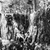 Cóndor - Death/Doom Metal - Bogotá - metal colombiano