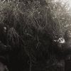 Dicterium - Black Metal - Tunja, Boyaca - metal colombiano