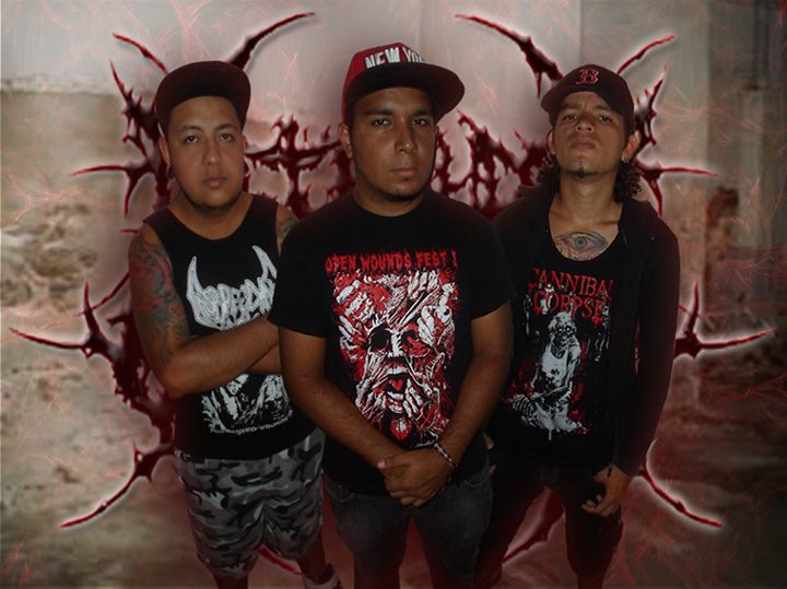 Disfigured for Genocide - Brutal Death Metal - Cartago, Valle del Cauca - metal colombiano