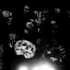 Dominate - Thrash/Black Metal - Manizales, Caldas - metal colombiano