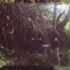 Opvs Leviathan - Epic Black Metal - Manizales, Caldas - metal colombiano