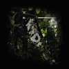 Radagond - Symphonic Black Metal - Armenia, Quindio - metal colombiano
