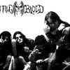 Rotting Blood - Thrash/Death Metal - Popayan, Cauca - metal colombiano
