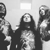 Vehementer - Brutal Death Metal - Bogotá - metal colombiano