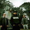 WithoutMind - Brutal Death Metal/Grindcore - Bogotá - metal colombiano